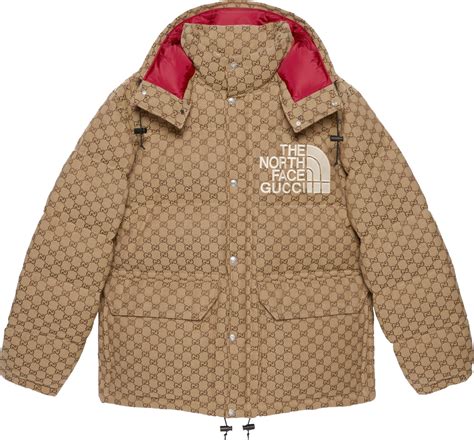 gucci north face puffer